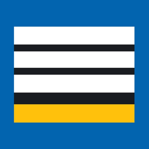 Grade plastifié Police Municipale Directeur Stagiaire 
