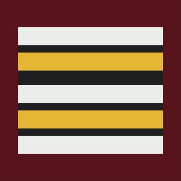 Grade plastifié Sapeurs-Pompiers Vétérinaire Lieutenant Colonel 