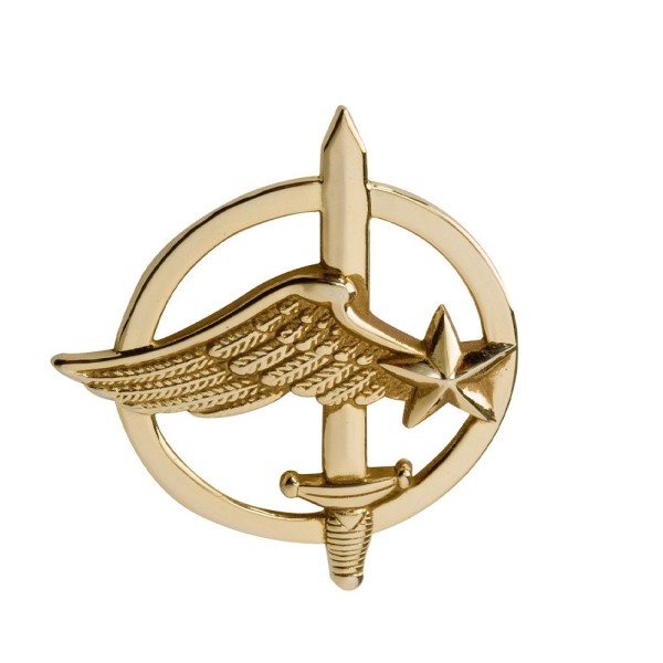 Insigne de béret doré Commandos de l'Air 