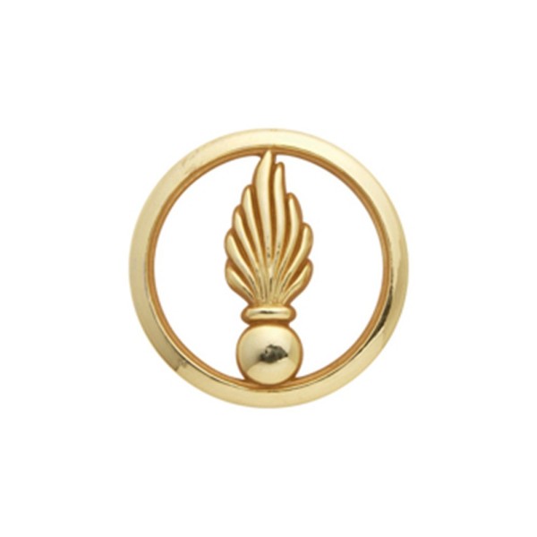 Insigne de béret doré Cadre Spécial 