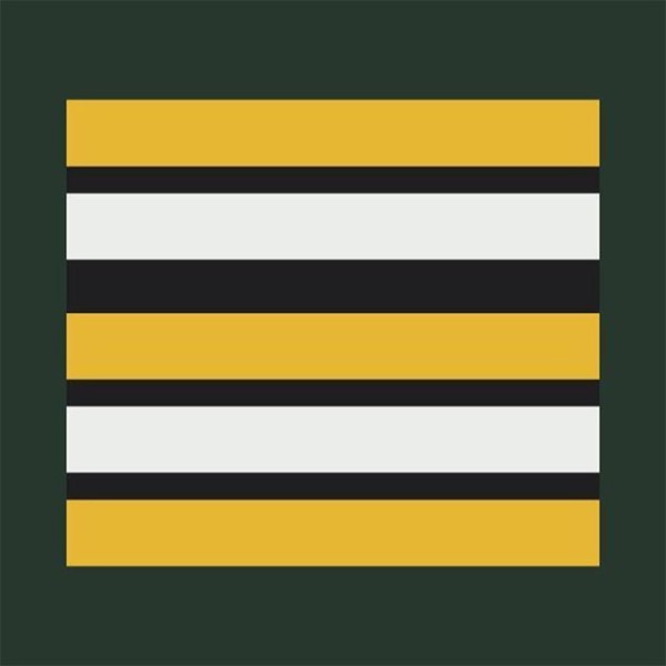 Grade plastifié Sapeurs-Pompiers Pharmacien Lieutenant Colonel 