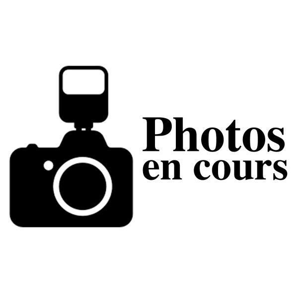 SLIDE STOP SPRING (N75) 