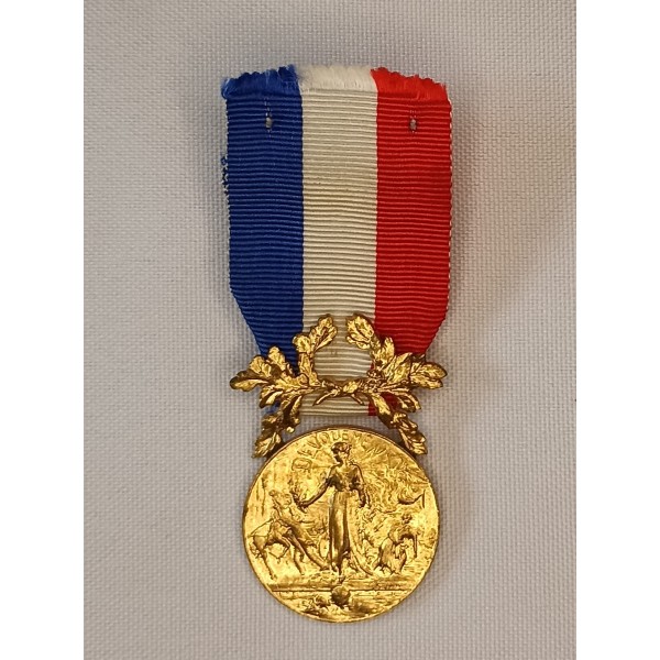 Médaille dévouement ministère de l'intérieur