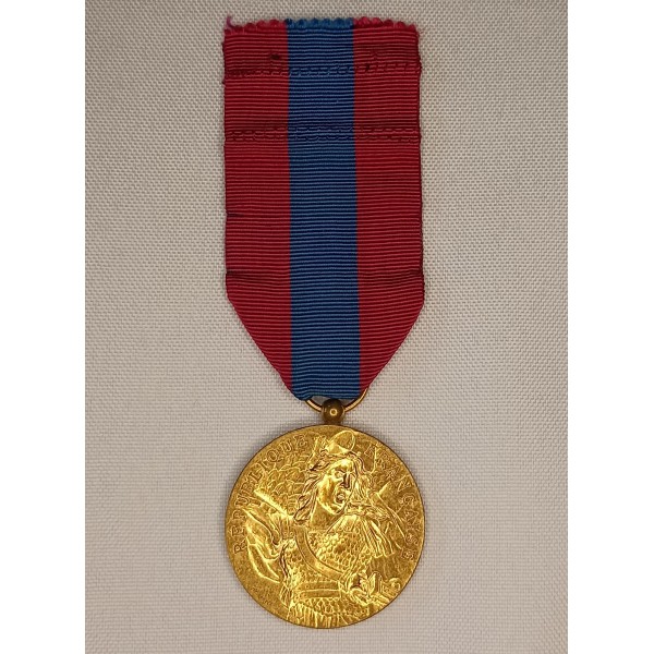 Médaille de la Défense National degré bronze