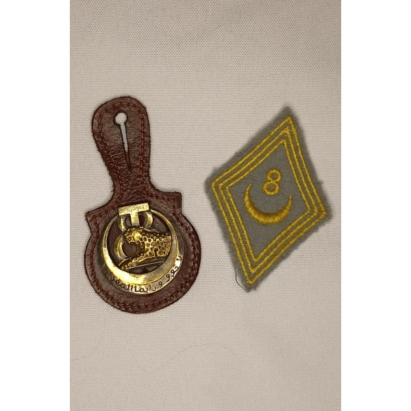 Insignes 8ème régiment tirailleur tunisien guerre algérie