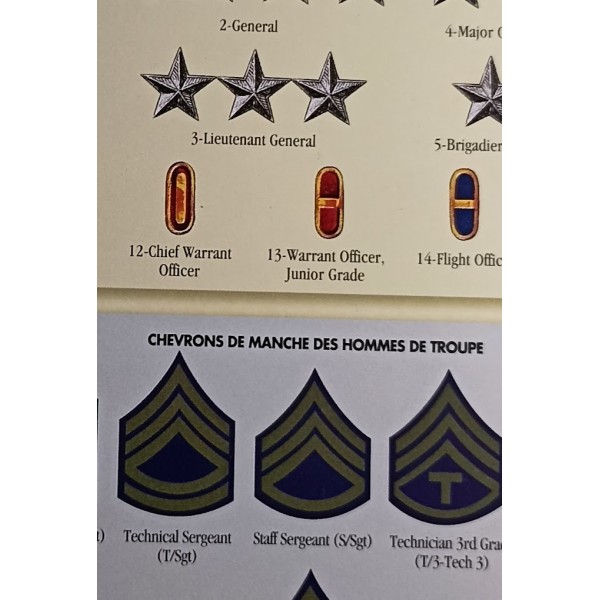 Liner M1 Chief Warrant Officer US Army nominatif WW2