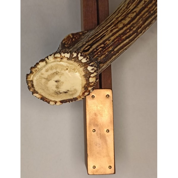 Couteau de Chasse en bois de Cerf