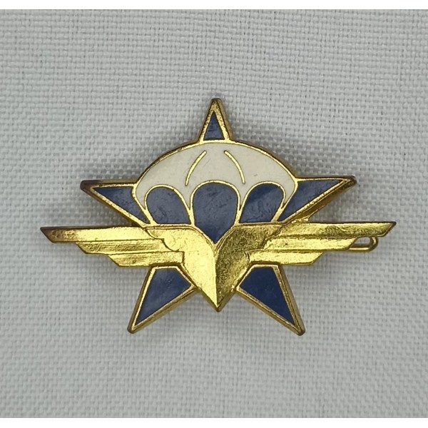 Insigne 1er Régiment...