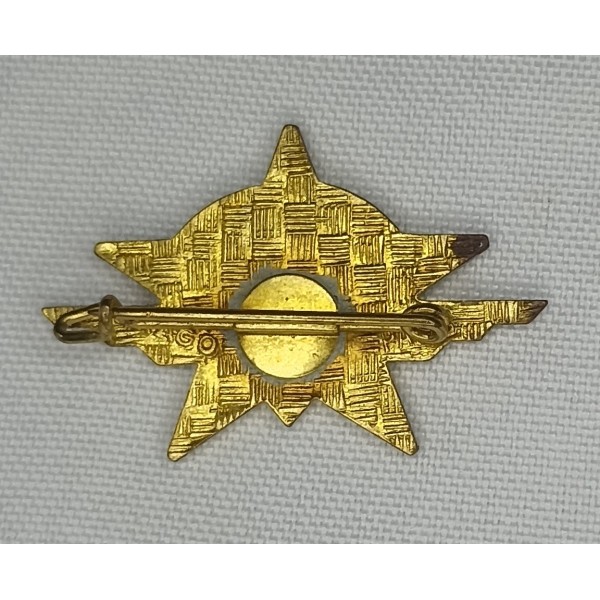 Insigne 1er Régiment...