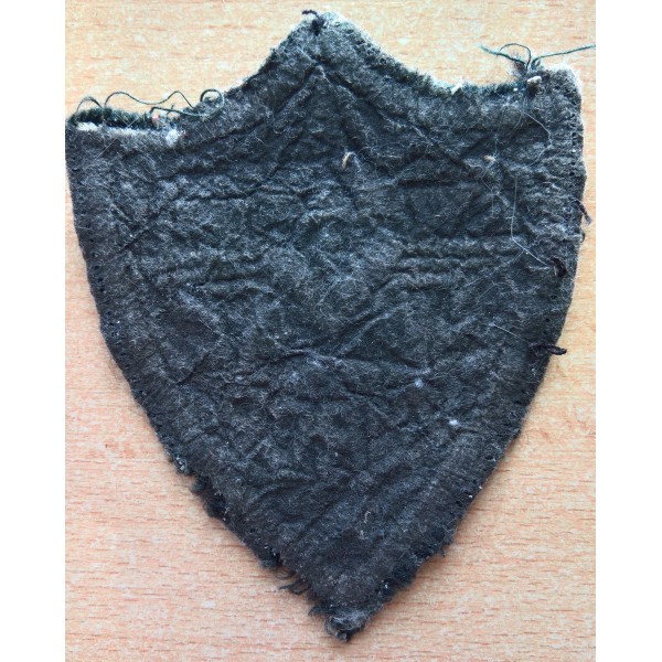 Insigne 1er RCP