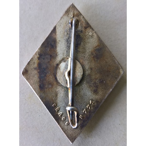 Insigne 2ème compagnie...