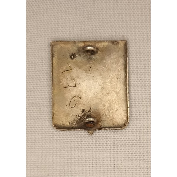 Rare insigne FFi Brigade...