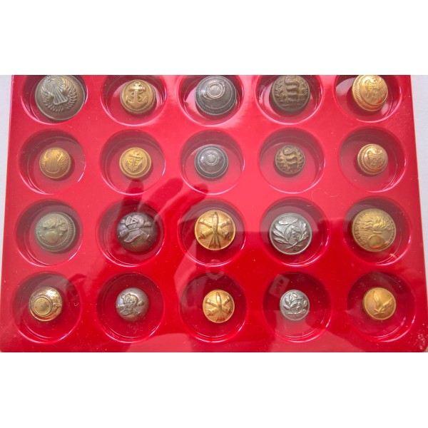Cadre collection boutons militaires Français