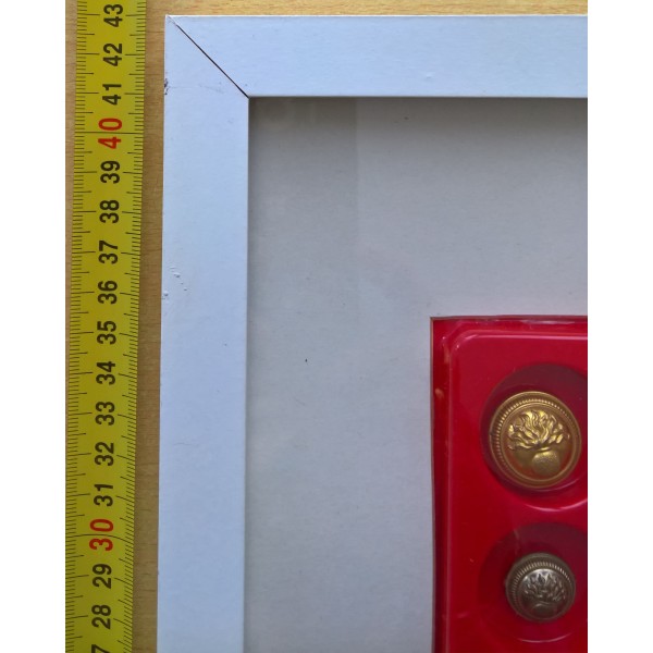 Cadre collection boutons militaires Français