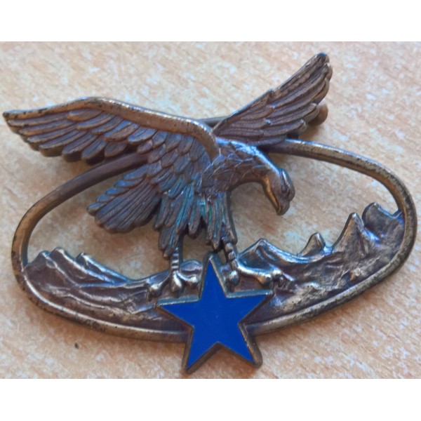 Insigne brevet chasseur alpin