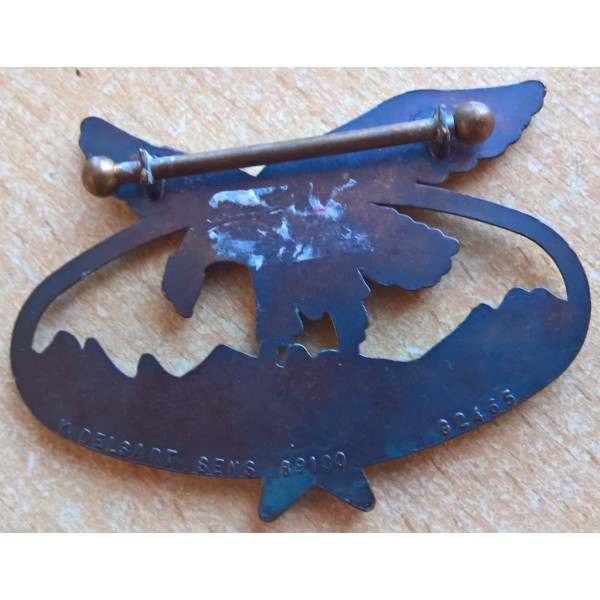 Insigne brevet chasseur alpin