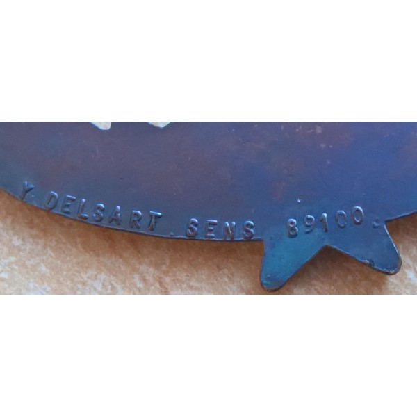 Insigne brevet chasseur alpin