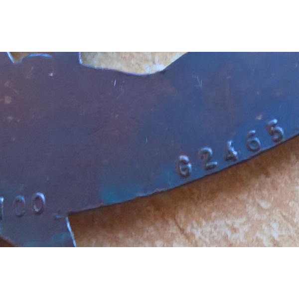 Insigne brevet chasseur alpin