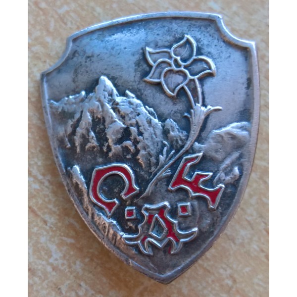 Insigne Club Alpin Français