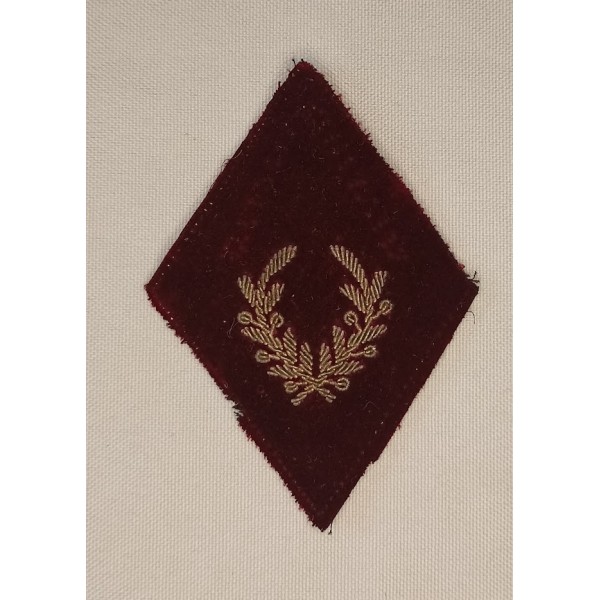 Insigne de bras spécialité...