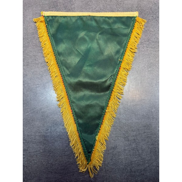 Fanion de Tradition de la 13ème DBLE - 2ème Compagnie d’Appui et de Travaux