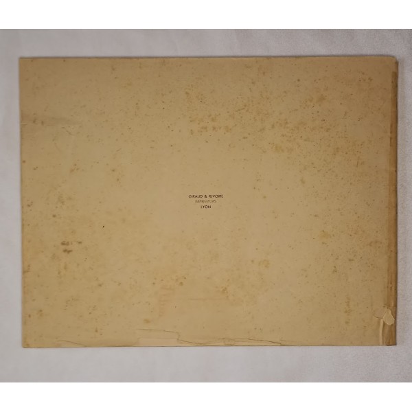 Livre DFL de AOF aux bord du Rhin 9ème DIC de 1943/45 WW2