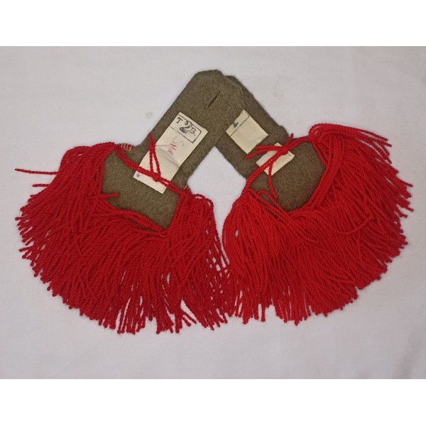 Epaulettes insignes tradition Sous/Off. Légion étrangère