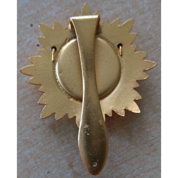 Insigne, broche du Conseil...