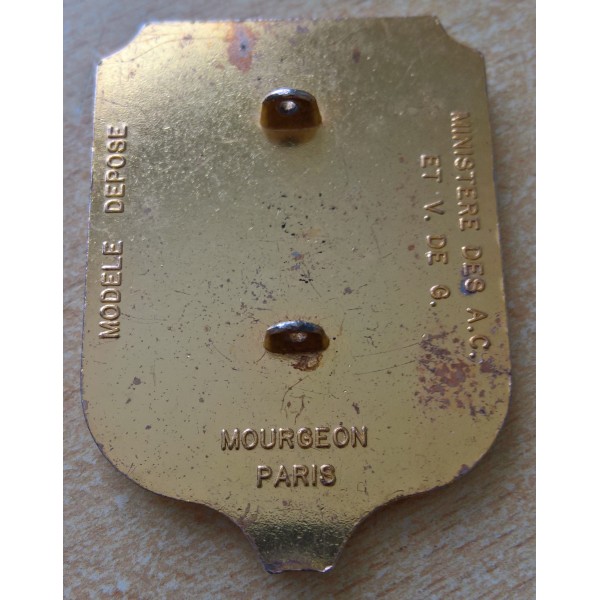 Insigne Porte drapeau