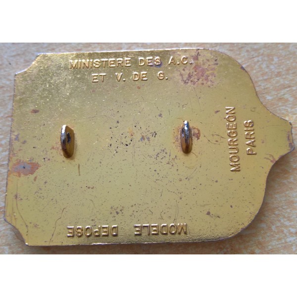 Insigne Porte drapeau