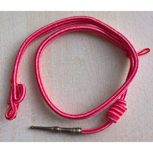 Fourragère valeur militaire...