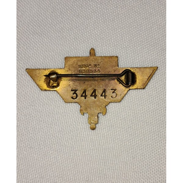 Insigne troupes de la...