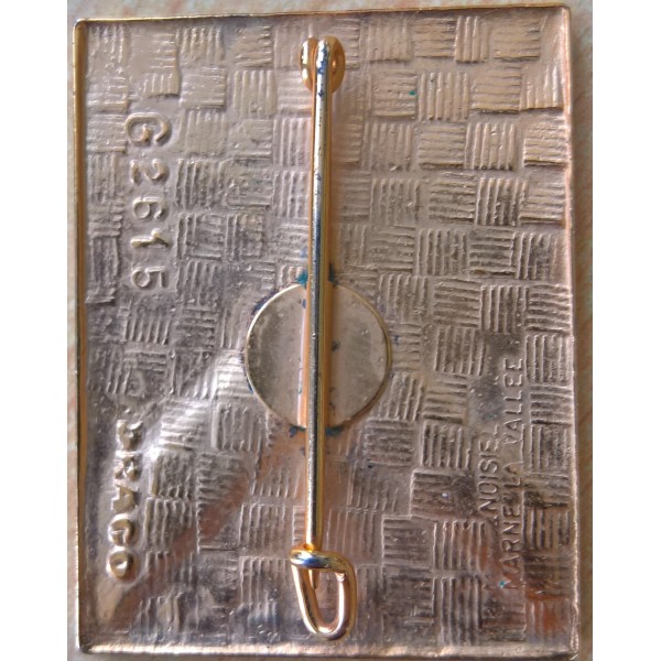 Lot 2 insignes 1er COMLOG