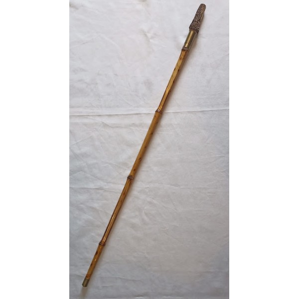 Canne système épée corne et...