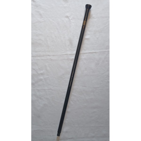 Canne système épée...