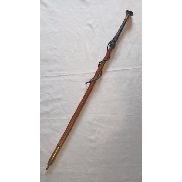 Ancien bâton de marche...