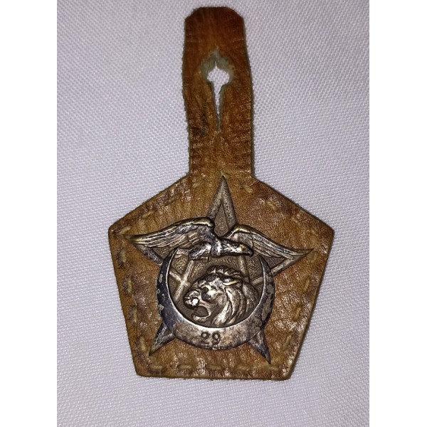 Insigne du 29ème Régiment...