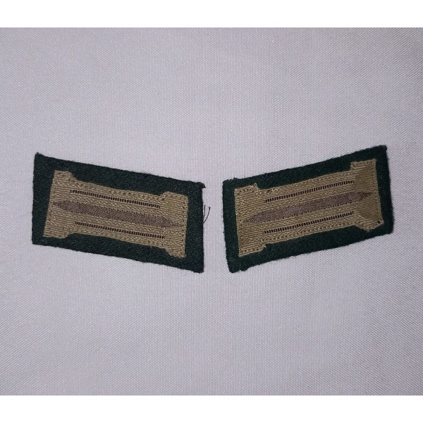 Litzen uniforme Allemand...