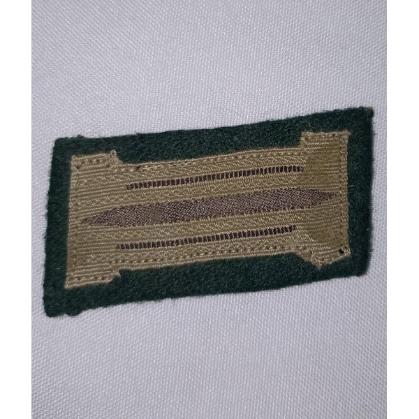 Litzen uniforme Allemand...