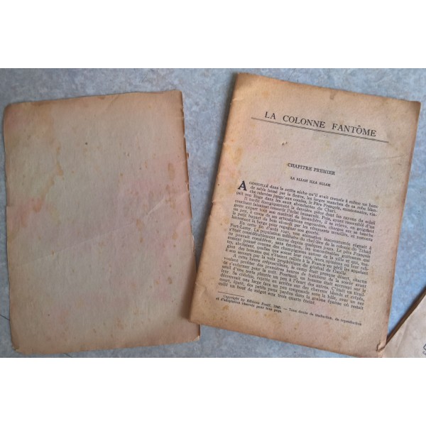 Lot de 2 romans de la collection "Patrie Libérée" WW2