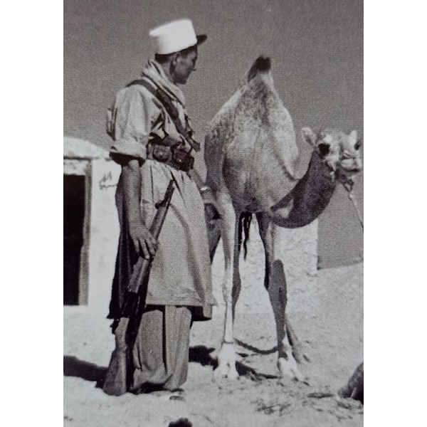 Saroual, sarouel modèle 1952 toile kaki clair AFN compagnie Saharienne Légion portée