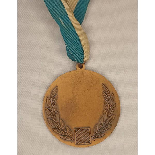 Médaille et insigne US 3ème Marne Division 60/70 vétéran Viet Nam 60/70