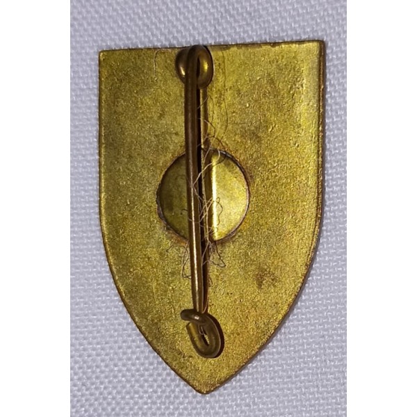 Insigne de la 2ème Division...
